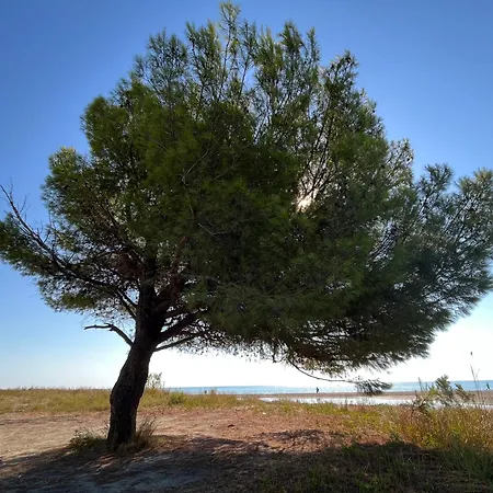 Casa Nina Sul Mare Сasa de vacaciones *